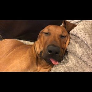 Meet your Posher, Jenna